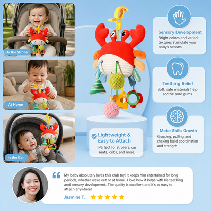 Crab Activity Toy with Pull Cord, Rattle & Teether for Babies