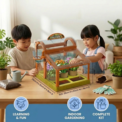 LED Acrylic Kids Greenhouse – Indoor Plant Growing Kit for Learning & Fun