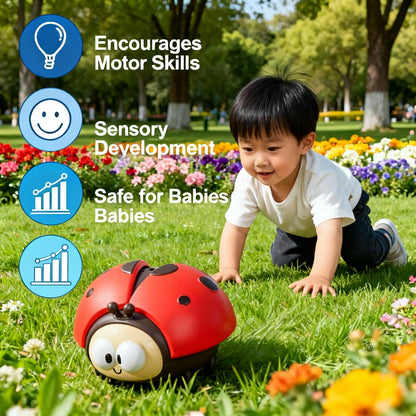 Ladybug Balloon Toy for Babies