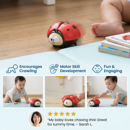 Ladybug Balloon Toy for Babies