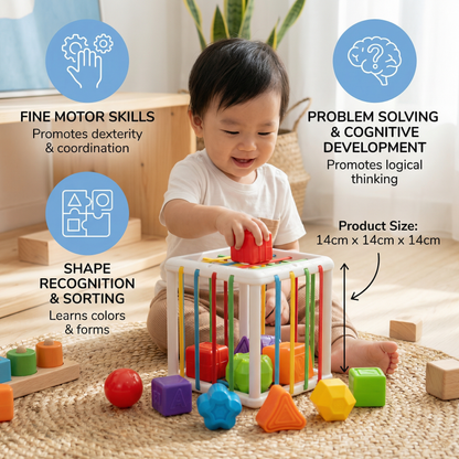 Montessori Shape Box – Sorting & Motor Skills Game